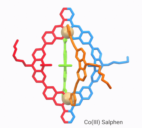 Animated picture of a Co(III) salphen ABCD cage.