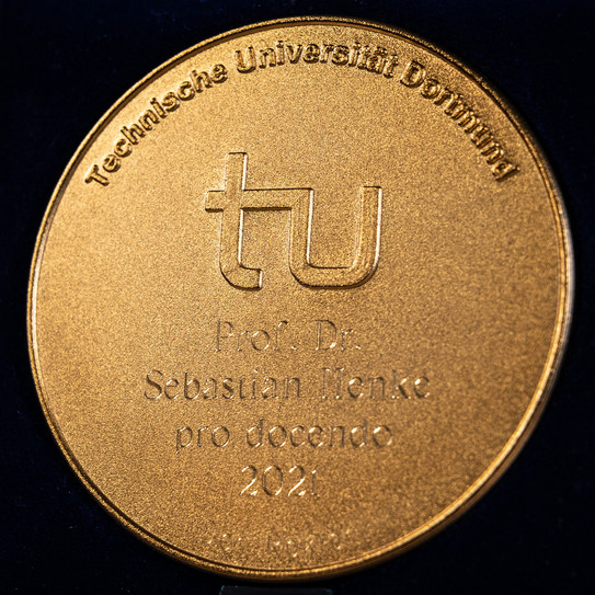 Medal Teaching Award Prof. Steffen