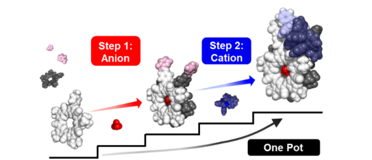 TOC figure showing an orthogonal self-assembly approach based on anion and cation recognition