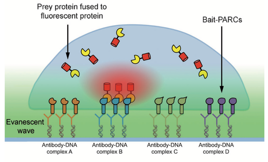 Figure 1 Figure 1