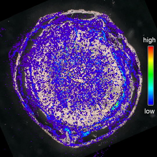 Final ion image