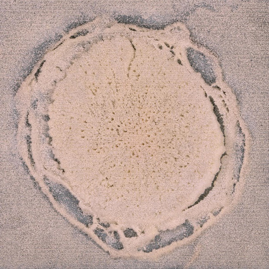 Cross section after measurement