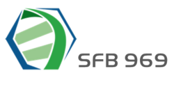 Logo SFB 969