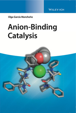 Cover picture of the Wiley book "Anion assisted Catalysis" from 2022 showing a model of a catalyst-anion-carbocation complex