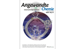 Cover Angewandte Chemie International Edition