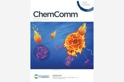 Cover ChemComm 2020, 56, 78