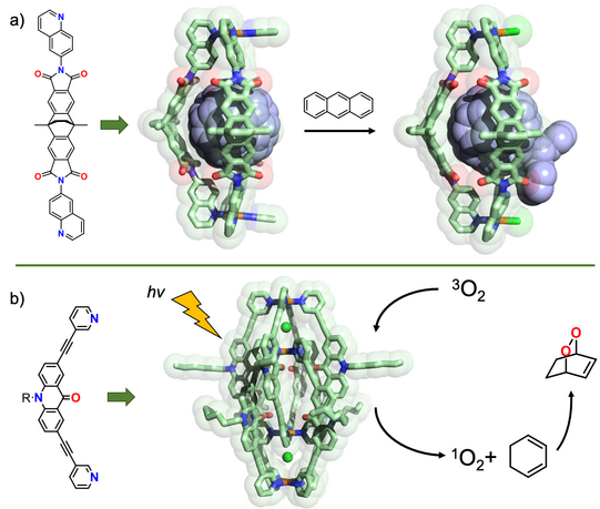 The figure shows the application of self-assembled cages to control chemical reactions