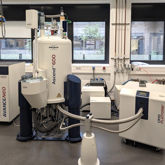 Bruker Avance NEO 600 MHz