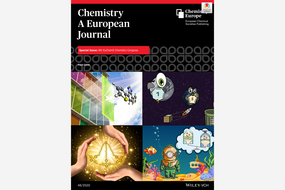 Cover Chemistry A European Journal 48/2020