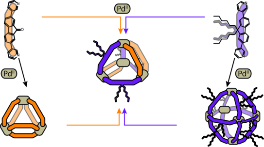 Picture of a heteroleptic tetrahedron