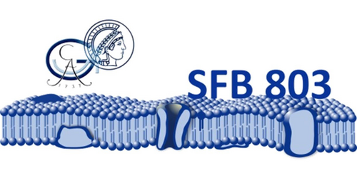 Logo SFB 803