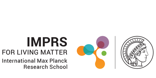 Logo IMPRS