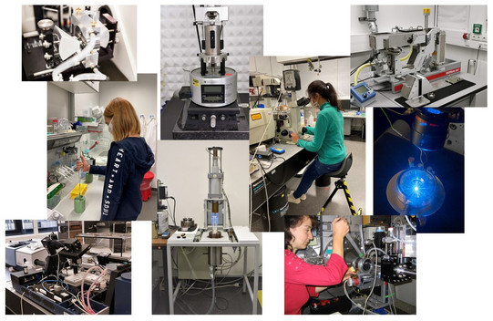 Collage showing multiple laboratory scenes with different instruments and people performing methods.