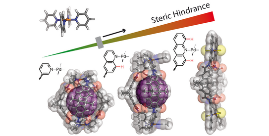 Schematic representation of the effect of steric hindrance around the coordination environment in bis-monodentate ligands leading to different coordination products acting as host structures for fullerene binding.