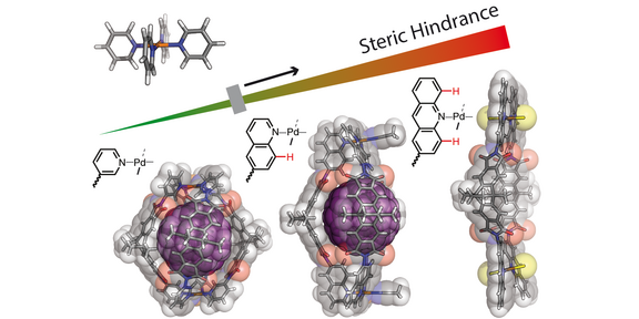 Schematic representation of the effect of steric hindrance around the coordination environment in bis-monodentate ligands leading to different coordination products acting as host structures for fullerene binding.
