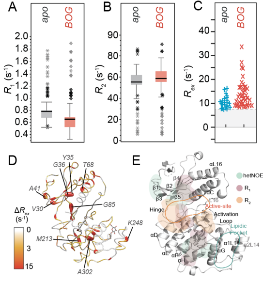 Graphical abstract