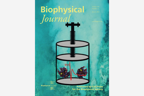 Cover Biophysical Journal