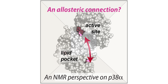 Graphical abstract