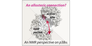 Graphical abstract