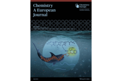 Cover Chemistry A European Journal 39/2021