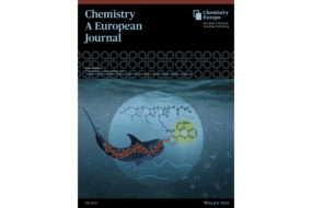 Cover Chemistry A European Journal 39/2021