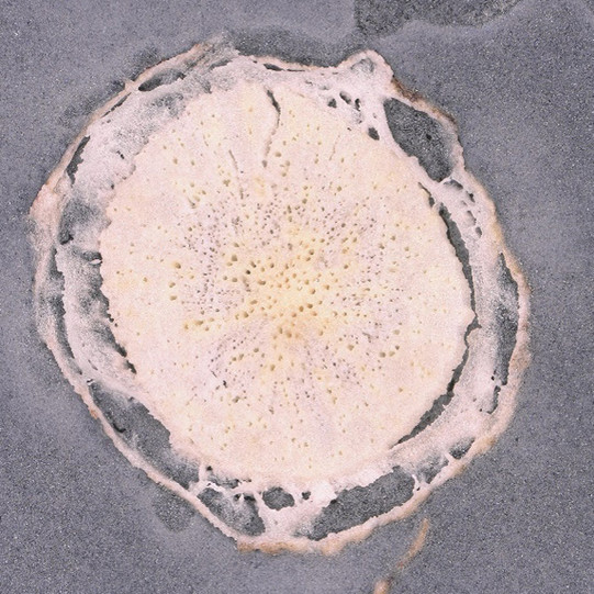 Cross section after matrix coating