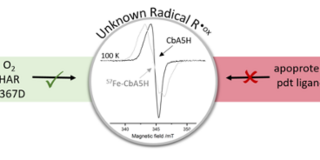 TOC picture showing the detection of an unkown radical signal