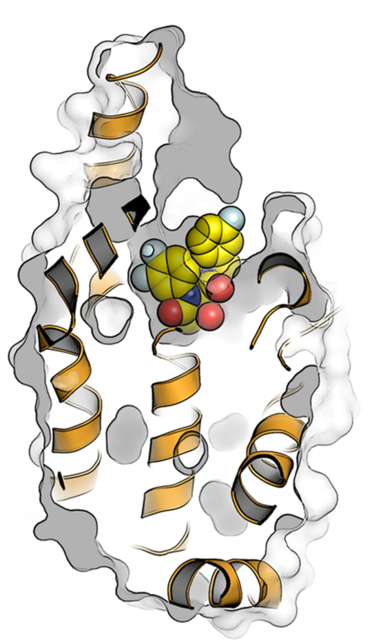 Grafikillustration