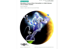 Cover Angewandte Chemie 2023