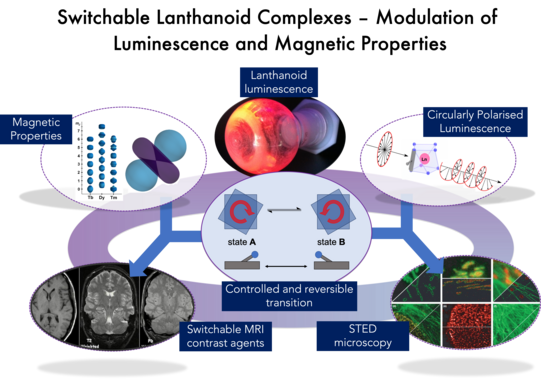 Overview of the research performed in the Kreidt group