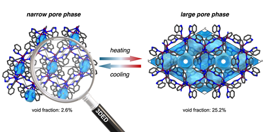 Graphical abstract