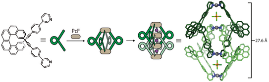Schematic representation of a chiral helicene-based bis-monodentate ligand that assembles upon palladium addition into an interpenetrated coordination cage.