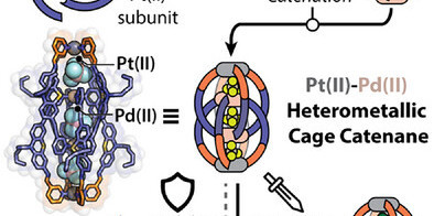 Formation of a heterometallic platinum- / palladium-based double cage catenane.