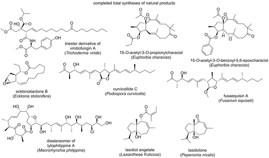 Graphical Abstract Graphical Abstract