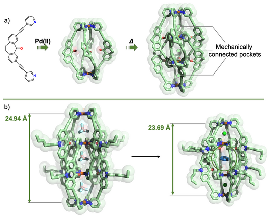 The figure shows assembly of banana-shaped ligands with square-planar palladium cations to lantern-shaped cages, their dimerization to catenanes with three pockets, binding of anionic guests in outer and benzene in central pocket.