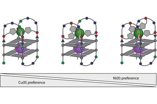 Schematic illustration