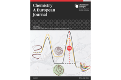 Cover Chemistry A European Journal 47/2021