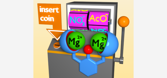 Cartoon of the magnesium-based receptor as a slot machine with spinning anions