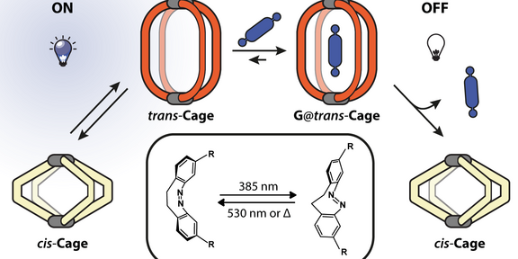 TOC figure of light-switchable cages