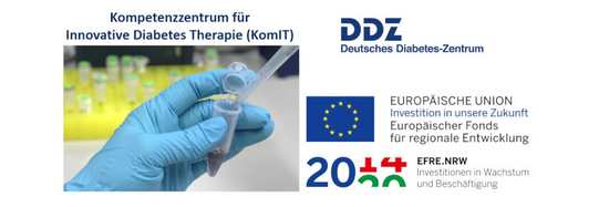 DDZ-Logo und EFRE-Förderhinweise