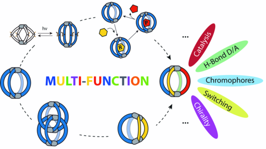 Picture showing multi-functional cages