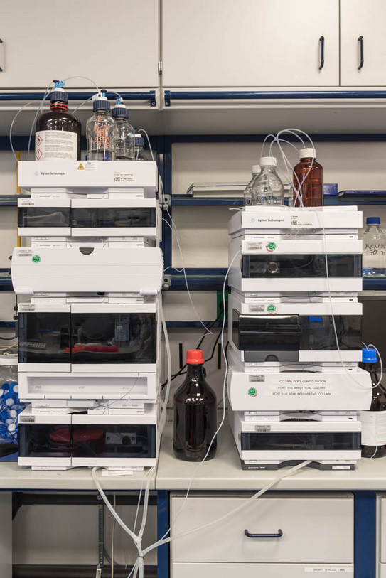 Two reversed phase HPLC systems