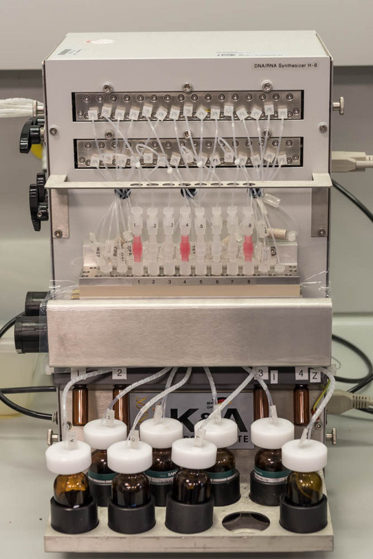 DNA Synthesizer