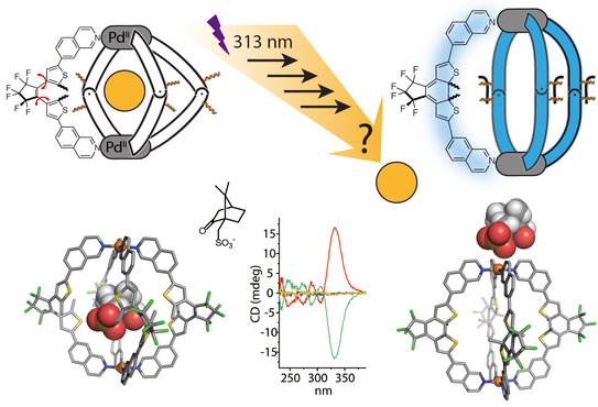 Schematic representation, X-ray structures and CD spectra of a photochromic coordination cage interacting with a chiral guest.