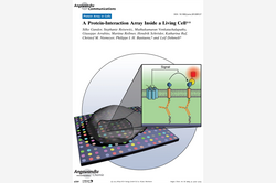 Cover Angewandte Chemie 2013-52
