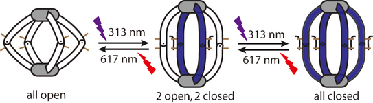 Schematic representation of successive photoswitching in photochromic DTE-based coordination cages.