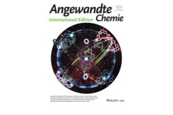 Cover Angewandte Chemie