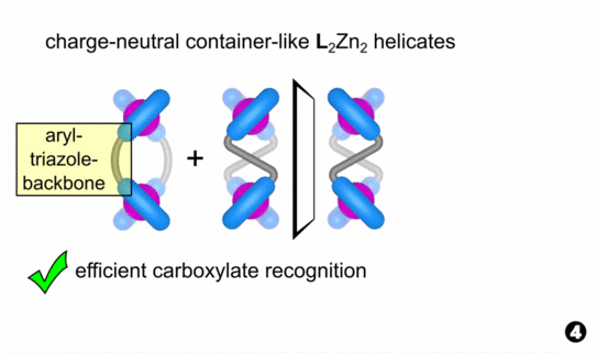 Animated picture showing the use of stereodynamic helicates for chirality analysis of tartrate.