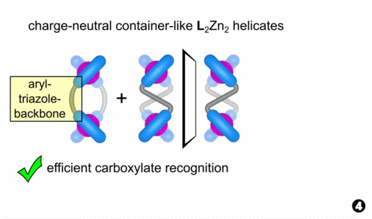 Animated picture showing the use of stereodynamic helicates for chirality analysis of tartrate.