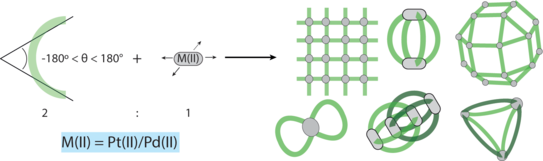 Schematic representation of different coordination structures formed from palladium ions and bis-monodentate ligands.